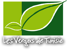 LES VERGERS DE TUNISIE 